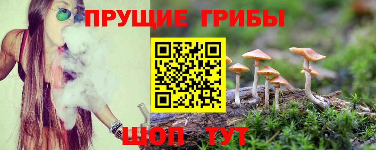 Псилоцибиновые грибы MAGIC MUSHROOMS  Вход с VPN  Новоалександровск  Галлюциногенные грибы мухоморы 