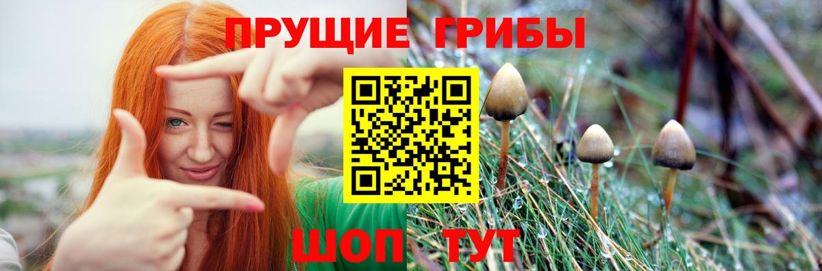 Галлюциногенные грибы мицелий Новоалександровск